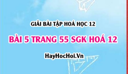 Giải bài 5 trang 55 SGK Hoá 12: Tính chất hoá học của Peptit và Protein